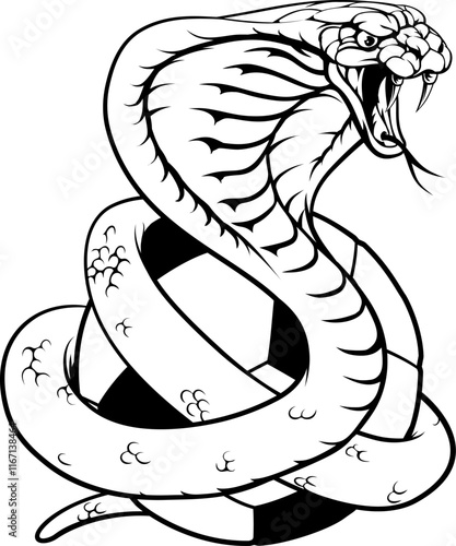 A cobra snake soccer football ball animal sports team mascot