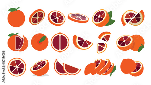 Set of Blood Orange, Farm fresh Blood Orange product emblem for grocery shop, Slides, long and cross sections, and different positions, simple flat vector illustration of vegetables and fruits.
