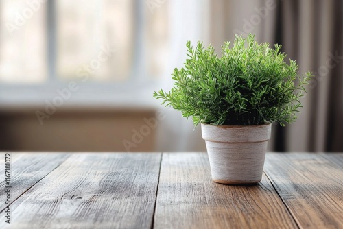 Small succulent plant on a wooden table in a cozy cafe setting filled with na...