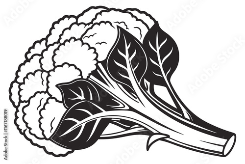 a black silhouette image cauliflower vector illustration white background C.eps
