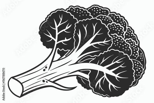 a black silhouette image cauliflower vector illustration white background G.eps