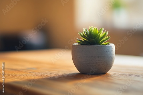 Small succulent plant on a wooden table in a cozy cafe setting filled with na...