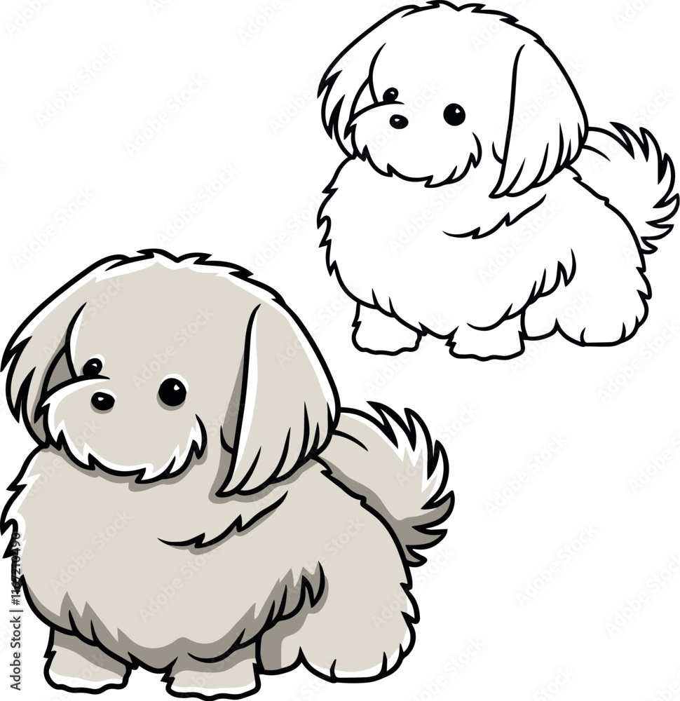Maltese puppy dog vector Maltese puppy dog vector