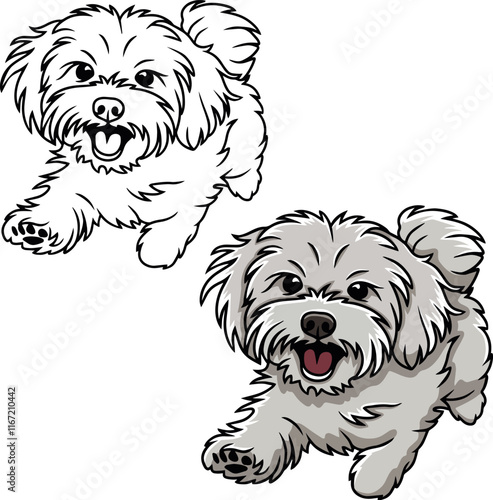 Maltese puppy dog vector