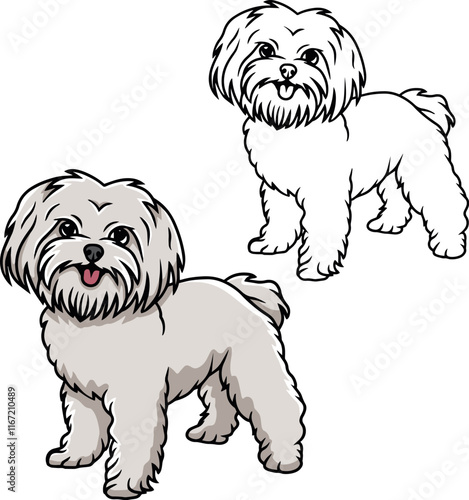 Maltese puppy dog vector