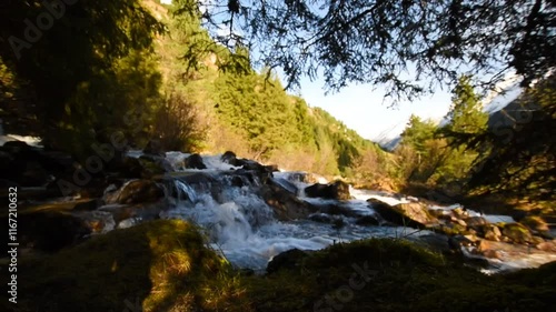 Cascading mountain stream with smooth flowing water between rocks and trees in the Krimmler Achental, Austria