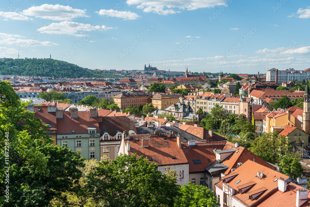 Fototapeta premium Prague city scenery from Vysehrad hill in Czech republic