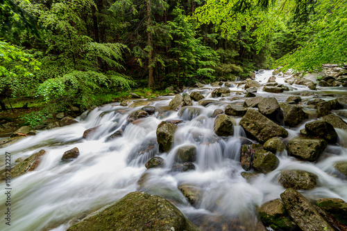 Rocky mountain stream in the spring forest.