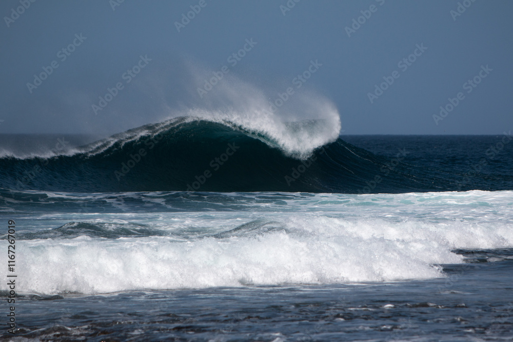 Whale tale wave Whale tale wave