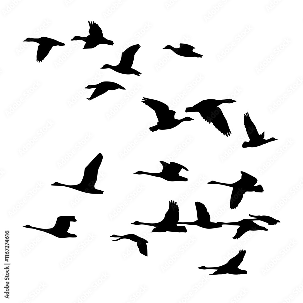 Bird Silhouettes Animal art design collection logo icon Bird Silhouettes Animal art design collection logo icon