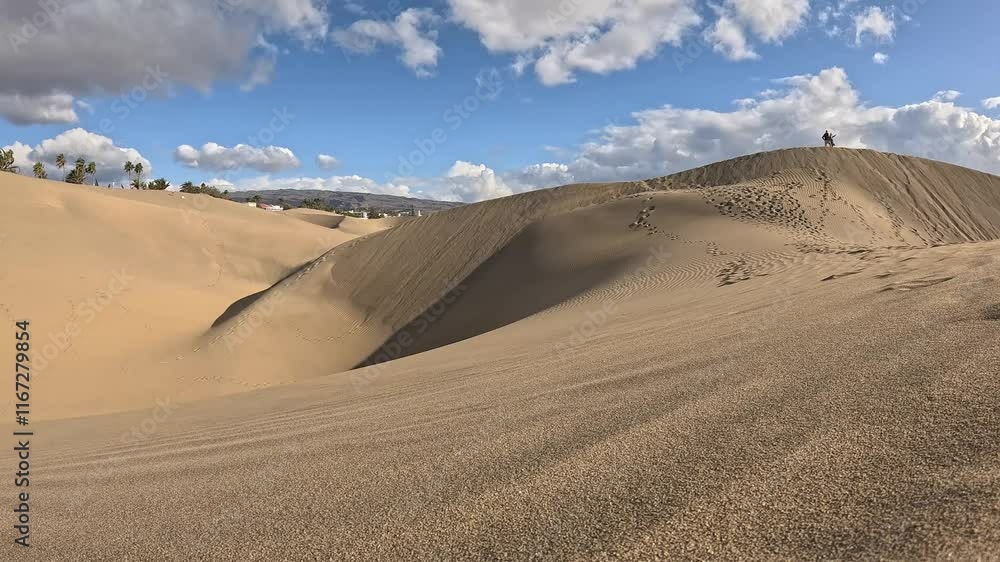 Sand flies dance in the wind over the stunning dunes of Gran Canaria's desert landscape Sand flies dance in the wind over the stunning dunes of Gran Canaria's desert landscape