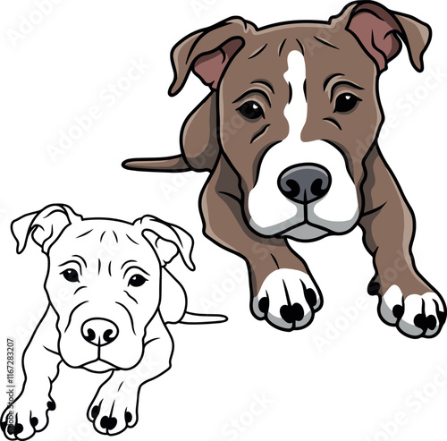 Pitbull dog vector