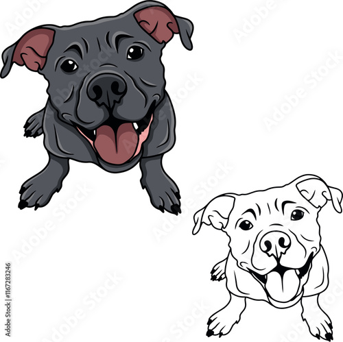 Pitbull dog vector