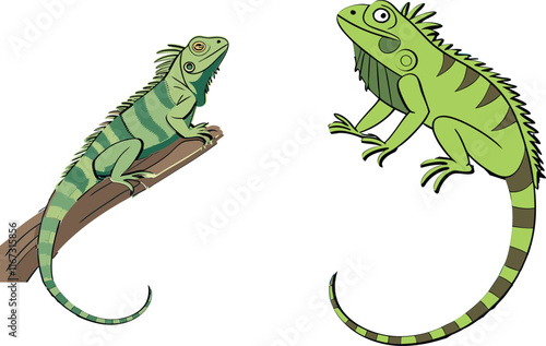Iguana bundle design art and illustrator eps