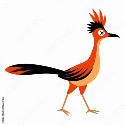 pheasant isolated on white background