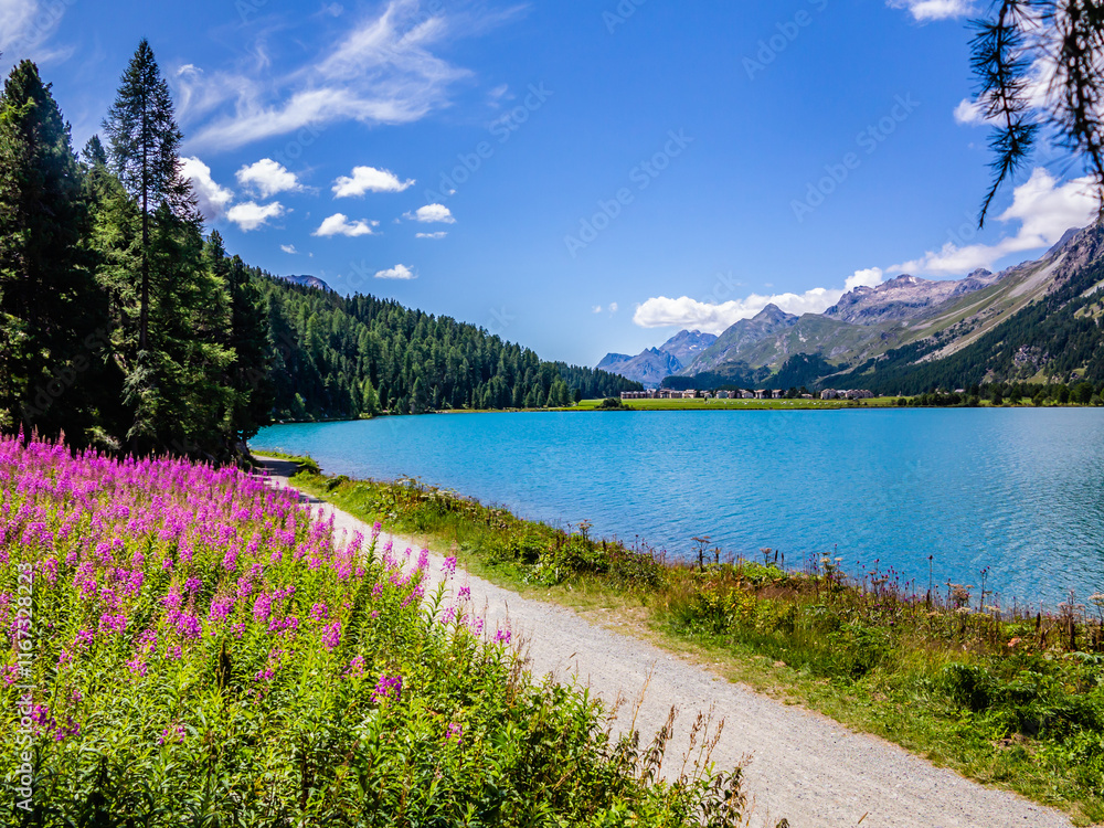 Cycle and pedestrian path from Surlaj to Sils-Engadine-Switzerland