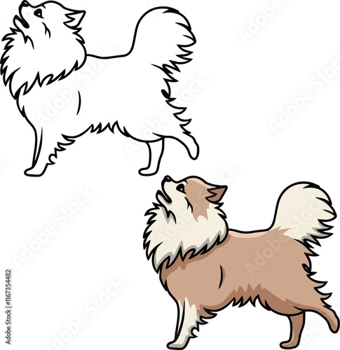Pomeranian Spitz vector dog puppy