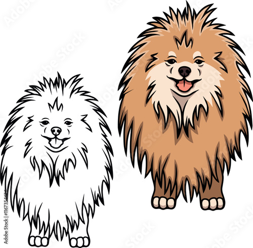 Pomeranian Spitz vector dog puppy