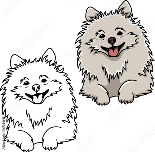 Pomeranian Spitz vector dog puppy