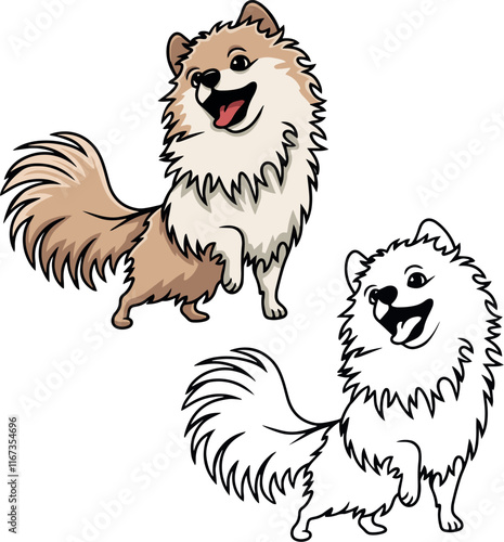 Pomeranian Spitz vector dog puppy