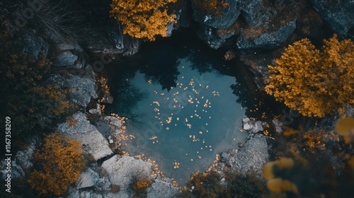 Wallpaper Mural Autumn Leaves Floating in a Rocky Pool Torontodigital.ca