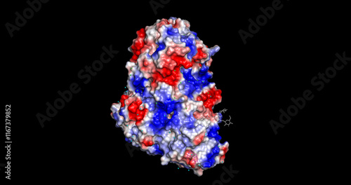 Εκτύπωση καμβά Ricin, poison/toxin, 3D molecule electrostatic surface, 4K
