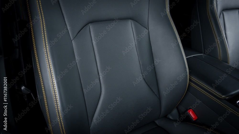 Obraz premium Passenger seat back