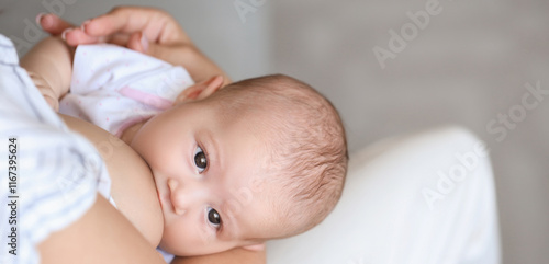 Young woman breastfeeding h...