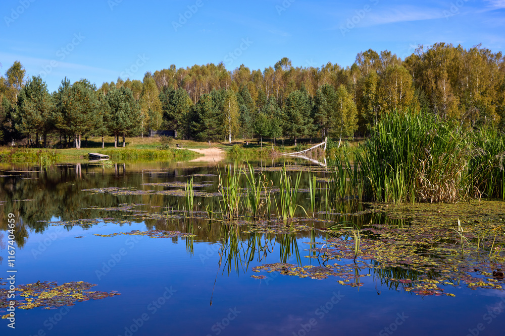 Obraz premium Serene Lake View with Lush Greenery and Clear Sky