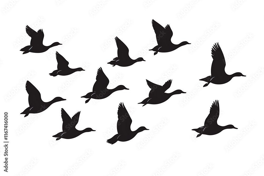 A silhouette of flying birds in a V formation against a white background. A silhouette of flying birds in a V formation against a white background.