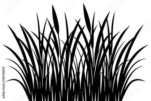 Long grass isolated vector silhouette illustration on white background