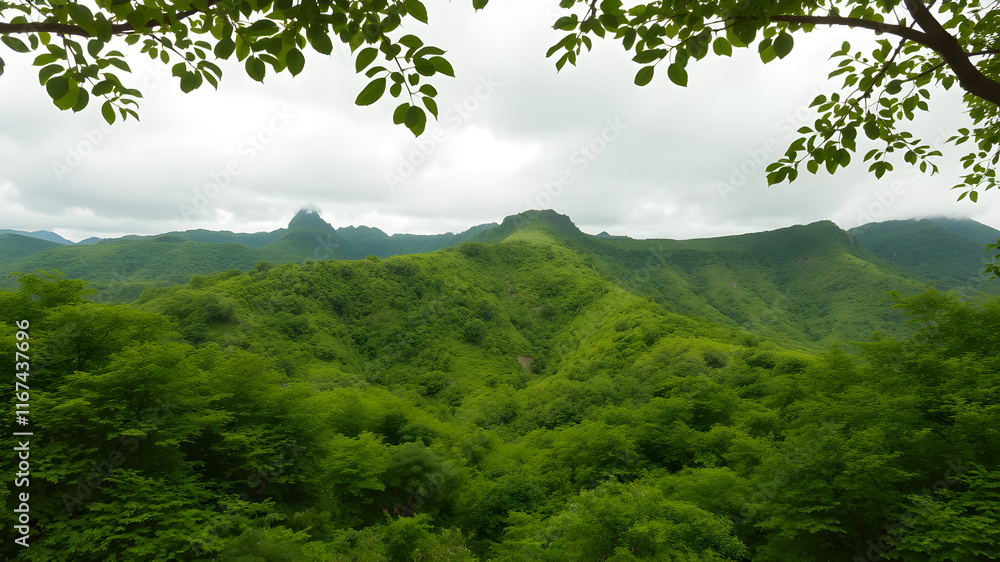 Nature in it's healthiest way. Green, mountains. emerald-colored surroundings. Life is beyond everything. Infinity