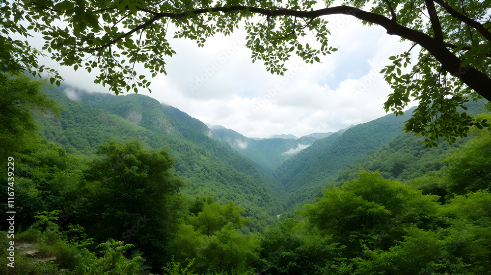 Nature in it's healthiest way. Green, mountains. emerald-colored surroundings. Life is beyond everything. Infinity Nature in it's healthiest way. Green, mountains. emerald-colored surroundings. Life is beyond everything. Infinity