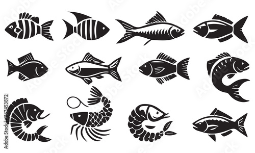 set of fish photo