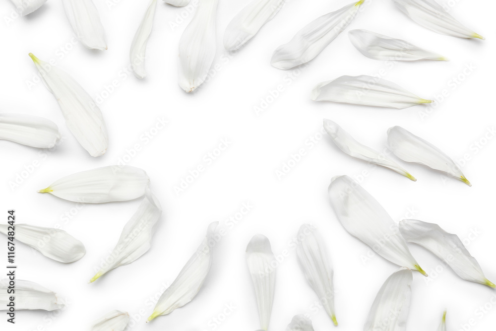 Naklejka premium Frame made of chrysanthemum flower petals on white background