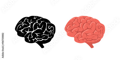 Brain icon set. Human internal organ solid and colored. Side view. Vector illustration in flat cartoon style.