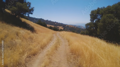 Winding Grassy Trail on Cheeseboro Ridge with Scenic Vistas in California photo