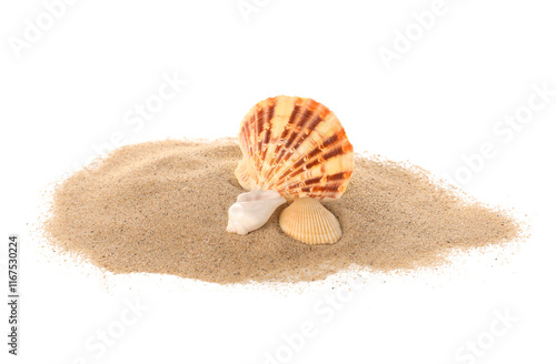 Heap of sand with beautiful...
