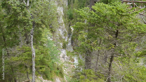 Karwendel photo