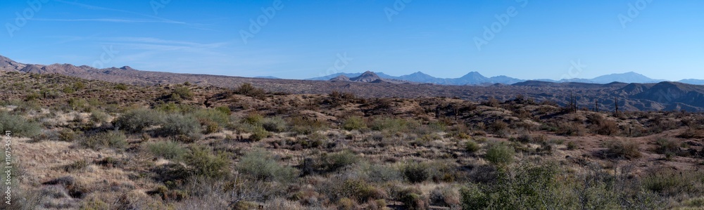A panoramic image of Arizona Tonto National forest A panoramic image of Arizona Tonto National forest