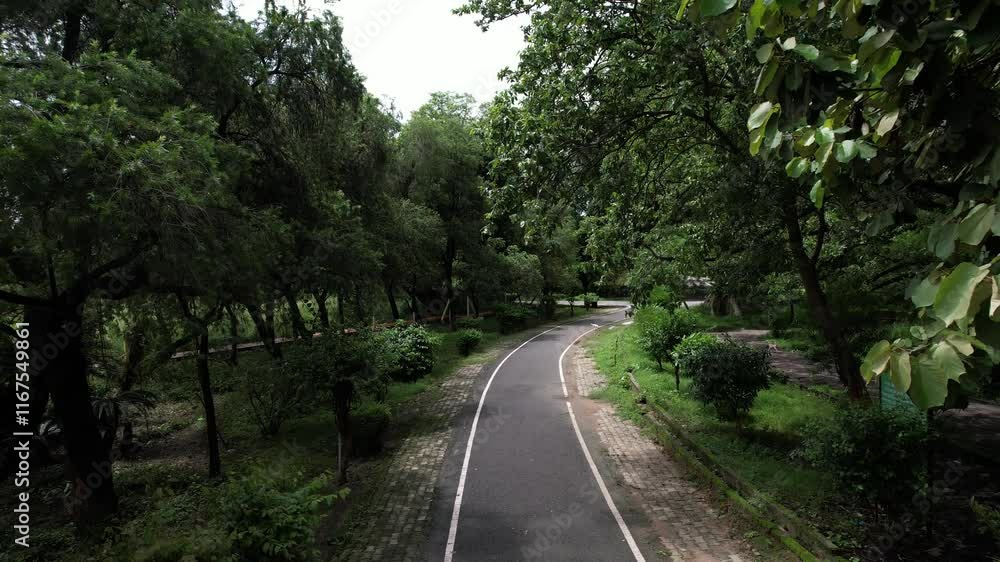 road in the woods road in the woods
