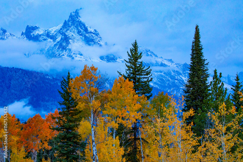 First Autumn Snowfall in Grand Teton National Park