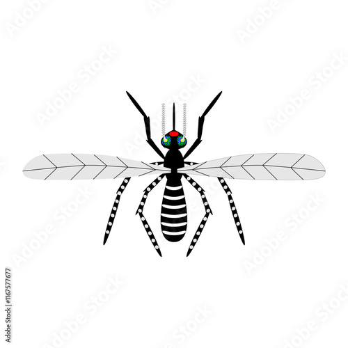 Reino animal insecto zancudo nombre cientifico Aedes aegypti o mosquito trasmisor del dengue y la fiebre amarilla copia.eps