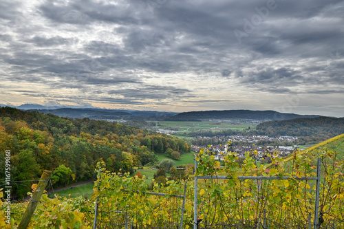 vineyard in autumn with swiss mountains in the background