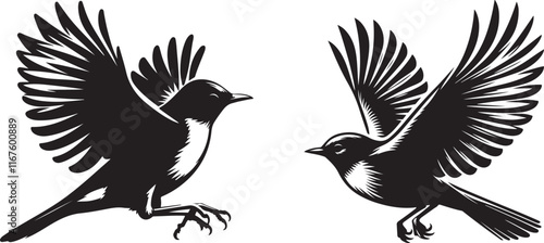  American Robin bird silhouette vector art illustration. American robin bird species vector design.