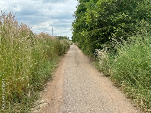 path in the countryside