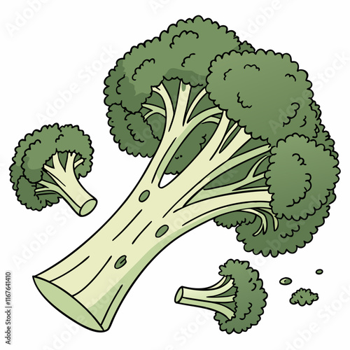 broccoli isolated on white background