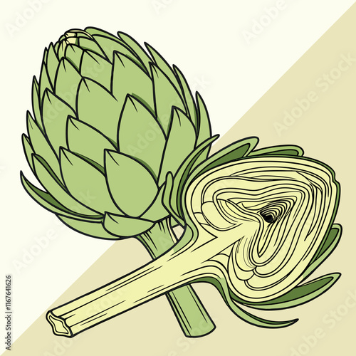 illustration of a artichoke