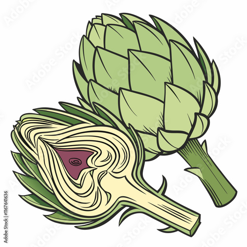 artichoke isolated on vector