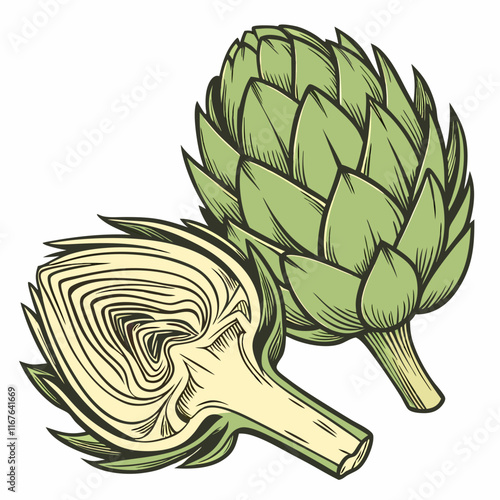 artichoke vector illustration